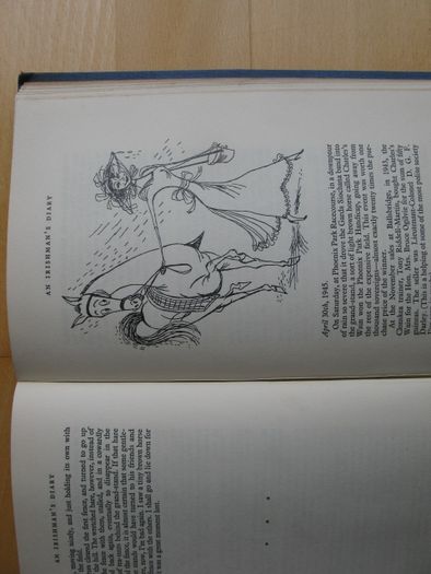 Vintage book - An Irishman's Diary by Patrick Campbell - 1950