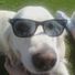 Samson2008