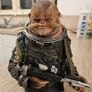 Star Wars Rogue One Bistan Mini Bust Image 4