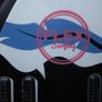 Flex Street Surfing Board Image 3
