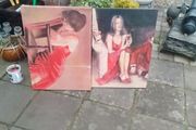 2 matching canvas