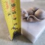 Small cat on marble plinth. Image 3