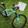 bike Image 3