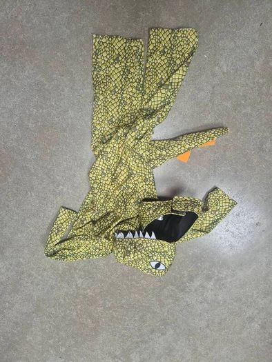 Dinosaur Costume / Dino