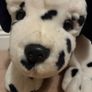 teddy Image 2
