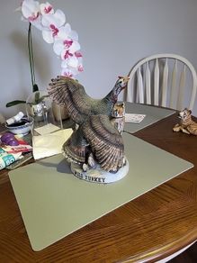 Wild turkey bottle