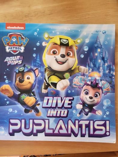 Big Paw Patrol bundle