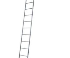 scaffold ladder