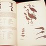 1952. Collins Pocket Guide To British Birds. Image 5