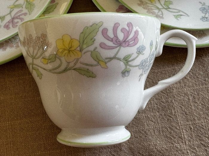 Duchess Bone China Tea Set Meadowlane Pattern 555