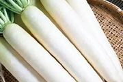 (R) Radish Gawan H seeds 1.5g (124633)