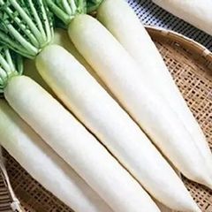 (R) Radish Gawan H seeds 1.5g (124633)