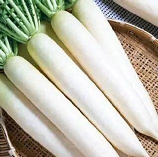 (R) Radish Gawan H seeds 1.5g (124633)