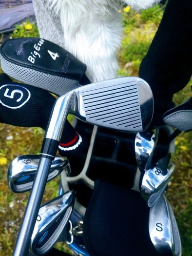 Set of Ladies Golf Clubs
