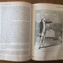 Ireland - History of a Nation.- Reduced Image 4