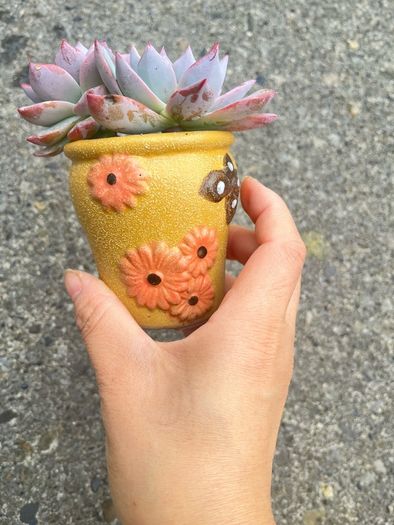 plant