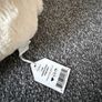 Jellycat Perry Polar Bear BNWT Image 3