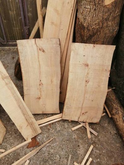 Beech and Ash