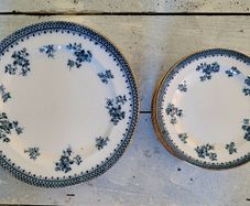 Antique burges & leigh "florida" dinner & side plates