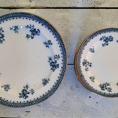 Antique burges & leigh "florida" dinner & side plates