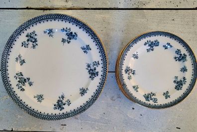 Antique burges & leigh "florida" dinner & side plates