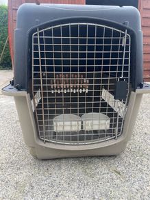 Dog Transporter / Dog Box