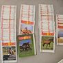 Horse Sense Magazine Collection (1980s) - Nearly Complete + Binder Image 2