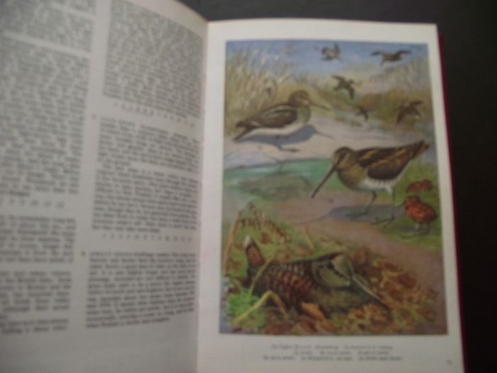 1972 "The Oxford Book of Birds"