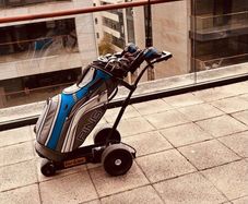 Ping Left Handed Golf Clubs