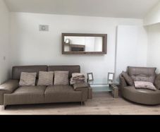 3 Seater and Swivel Couch