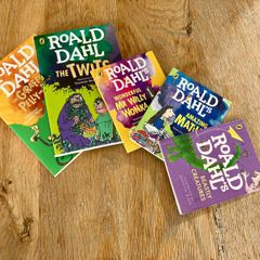 Roald Dahl Books x5 -The Twits, Matilda, Mr Wonka and More (Ages 6-10)