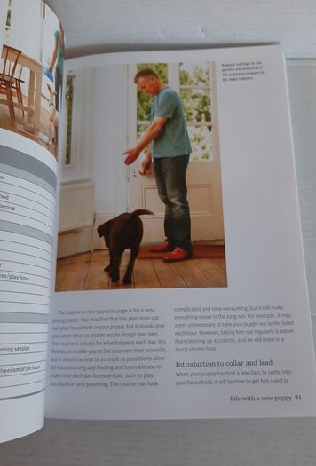 The perfect puppy book