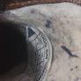 ankle boots UGG 38 Image 4