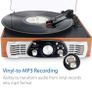 Belt-Drive 3-Speed Stereo Turntable with Built in Speakers, Supports Vinyl to MP3 Recording, USB MP3 Playback, and RCA Output, Natural Wood (FREE POSTAGE) Image 6