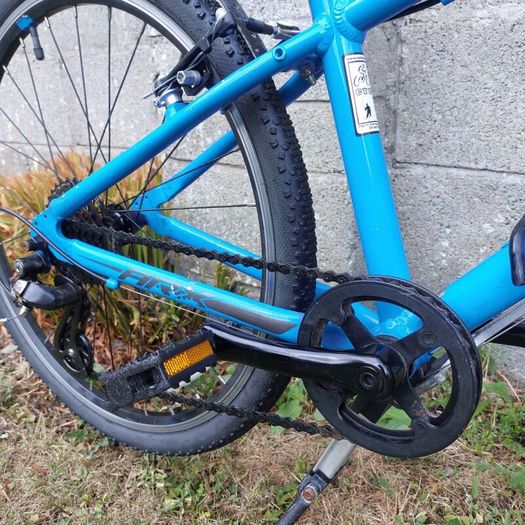 Giant ARX JR 24" wheel kids bike - kids aged 7-12 years old - Hybrid Bike - Fully serviced