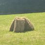 Small Square Hay Bales Image 2