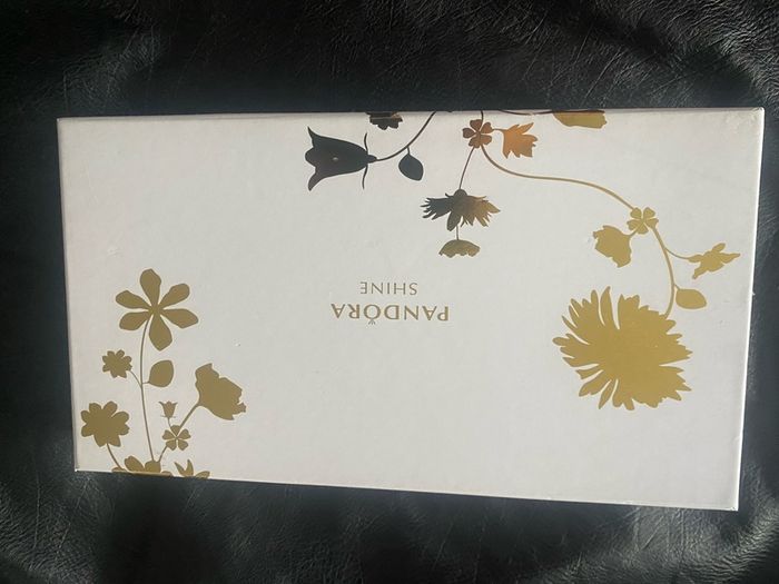 Authentic Pandora clutch bag