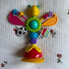 Sensory Toy