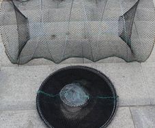 Fishing Keep Net folding round metal frame