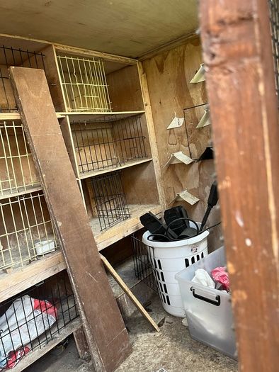 Ex pigeon loft