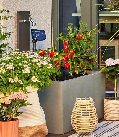 Micro-Drip-System Drip Irrigation Set Terrace (30 plants): Starter set, ready to use, water-saving irrigation system, simple & flexible connection technology (13400-20)