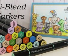Spectrum Noir Tri-Blend set of 24 Pens