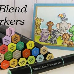 Spectrum Noir Tri-Blend set of 24 Pens