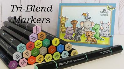Spectrum Noir Tri-Blend set of 24 Pens