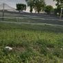Bird Net Image 2