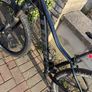 TREK Marlin 5 Image 4