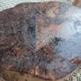 Solid Wood Coffee Table / Plant Stand / Stool Image 5