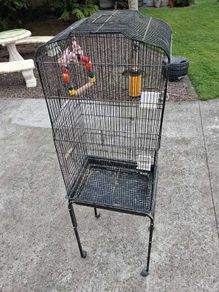 Bird Cages
