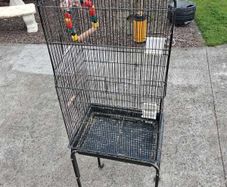 Bird Cages