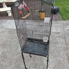 Bird Cages